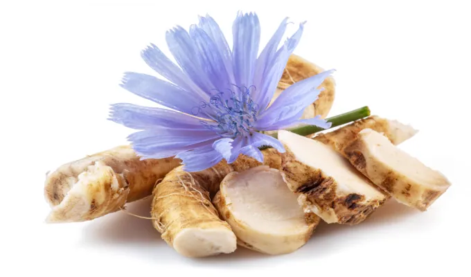 Chicory Root Inulin – EmmaRelief prebiotic fiber ingredient
