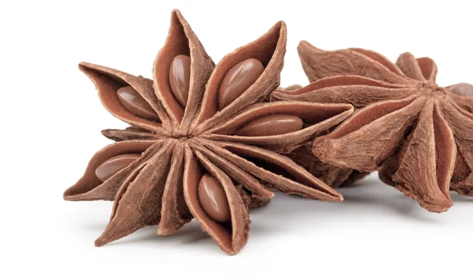 Star Anise – EmmaRelief natural digestive relief ingredient